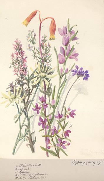 Illustration