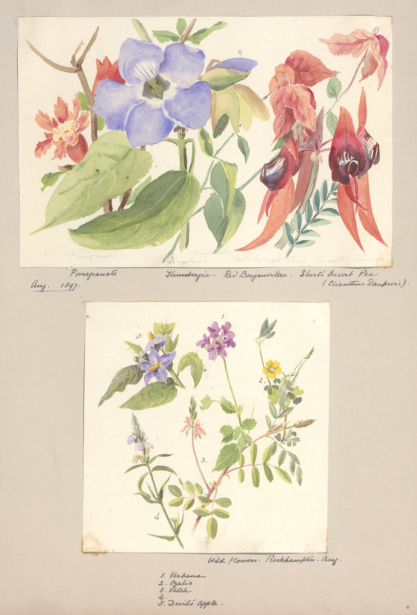 Illustration