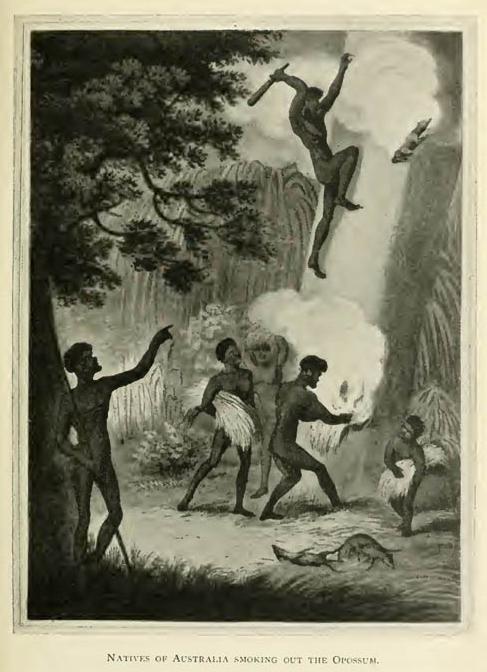 Natives of Australia smoking out the Opossum.