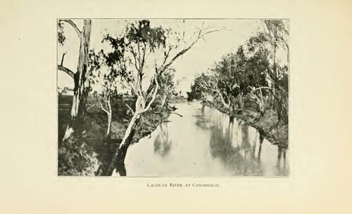 Lachlan River at Condobolin