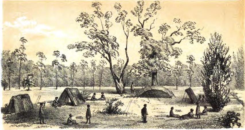 The Blacks' Camp.
