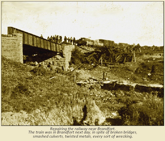 From a photo by H.C. Shelley