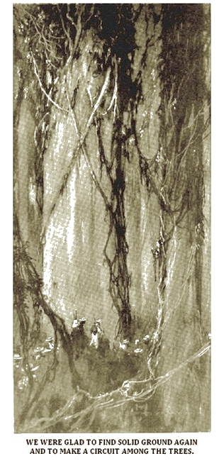 Illustration Illustration