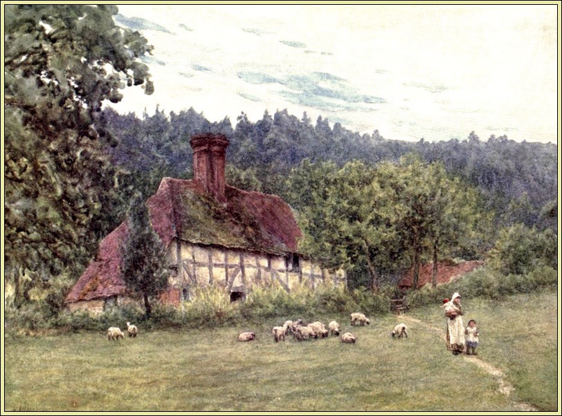 Illustration