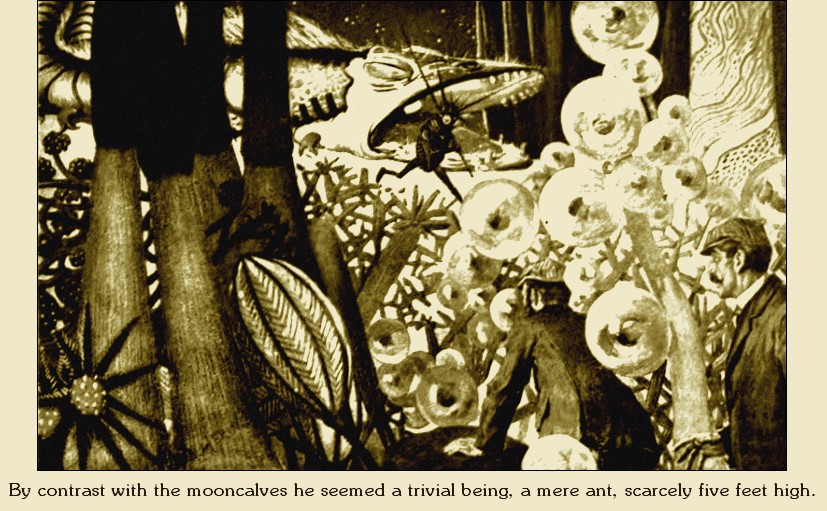 Illustration