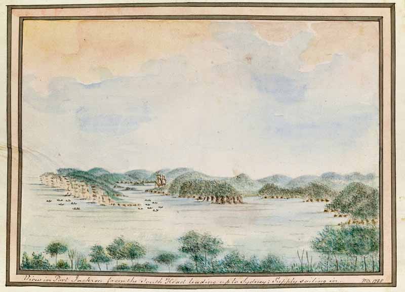 Illustration