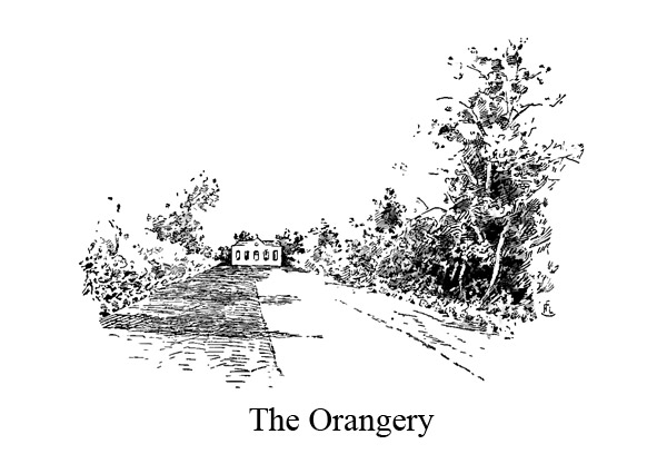 orang