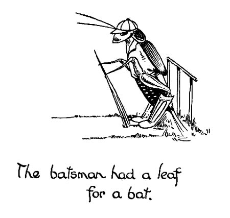 cricket
