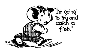 fish