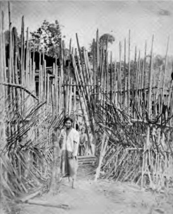 The Gateway of aoA Village Stockade