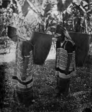 Sgaw Karen Women Carrying Grain in Large Baskets