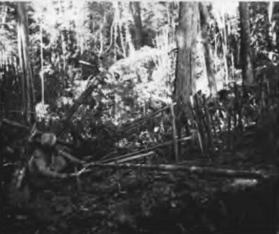 Setting a Spring trap