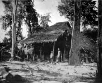 A Hut Erected in a Forest Clearing