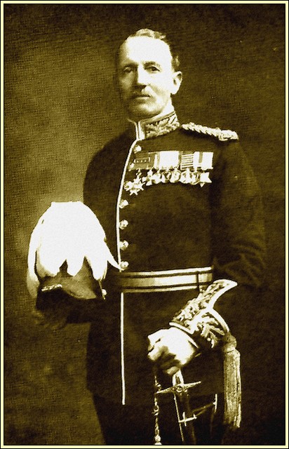 Colonel Pult The Standard History of the War, Vol. II
